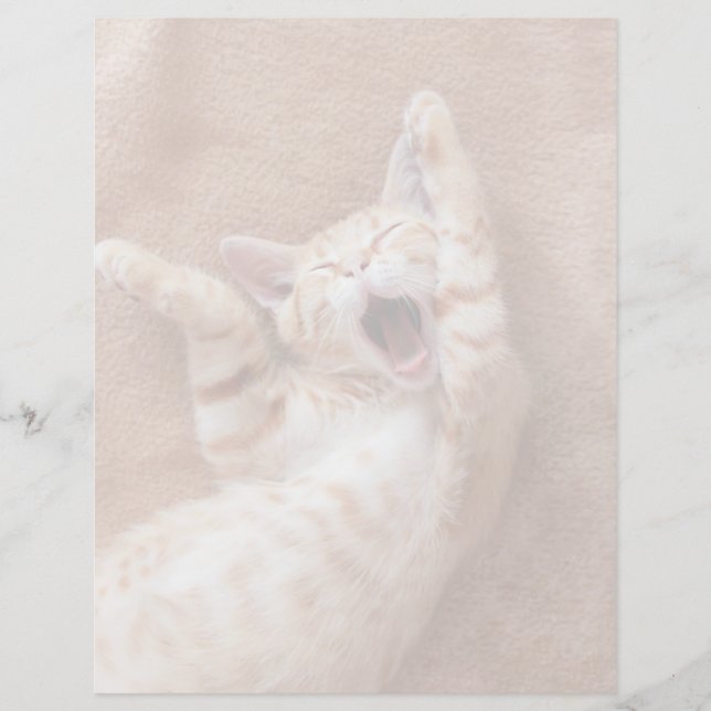 最も可愛い赤ん坊の動物 | Ginger Kittenあくびをする (正面)