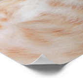 最も可愛い赤ん坊の動物 | Ginger Kittenあくびをする ポスター (角)