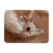 最も可愛い赤ん坊の動物 | Ginger Kittenあくびをする マグネット (横)