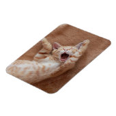 最も可愛い赤ん坊の動物 | Ginger Kittenあくびをする マグネット (左側)