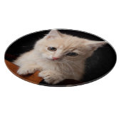 最も可愛い赤ん坊の動物 | Ginger Kitten カッティングボード (角)