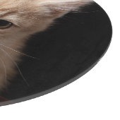 最も可愛い赤ん坊の動物 | Ginger Kitten カッティングボード (角)