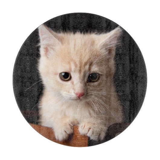 最も可愛い赤ん坊の動物 | Ginger Kitten カッティングボード (正面)