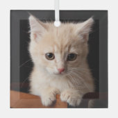 最も可愛い赤ん坊の動物 | Ginger Kitten ガラスオーナメント (正面)