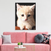 最も可愛い赤ん坊の動物 | Ginger Kitten キャンバスプリント (インサイチュ (リビング))