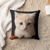 最も可愛い赤ん坊の動物 | Ginger Kitten クッション (ブランケット)