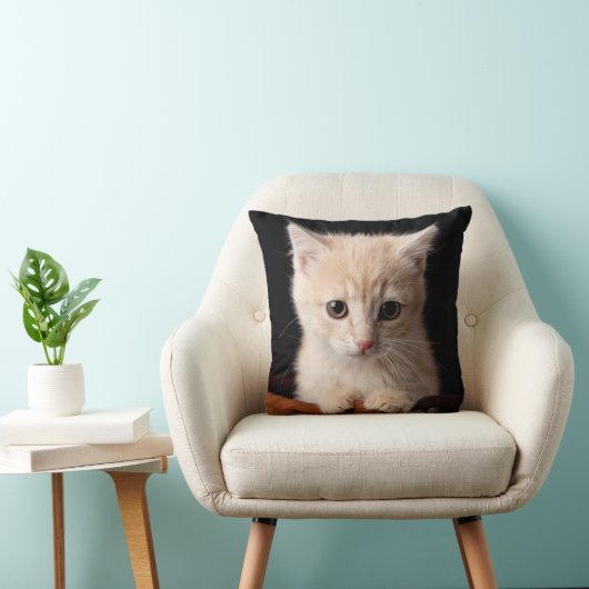 最も可愛い赤ん坊の動物 | Ginger Kitten クッション (椅子)