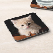最も可愛い赤ん坊の動物 | Ginger Kitten コースター (左側)