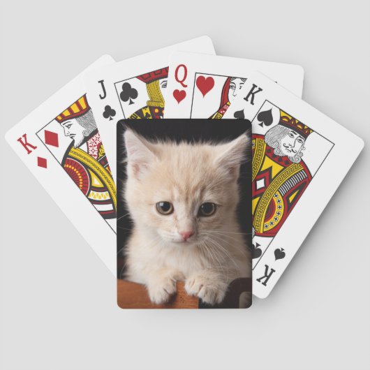 最も可愛い赤ん坊の動物 | Ginger Kitten トランプ (裏面)