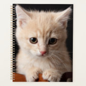 最も可愛い赤ん坊の動物 | Ginger Kitten プランナー手帳 (正面)