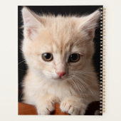 最も可愛い赤ん坊の動物 | Ginger Kitten プランナー手帳 (裏面)