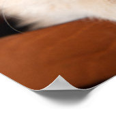 最も可愛い赤ん坊の動物 | Ginger Kitten ポスター (角)