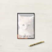 最も可愛い赤ん坊の動物 | Ginger Kitten ポストイット (デスク上)