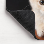 最も可愛い赤ん坊の動物 | Ginger Kitten マウスパッド (コーナー)