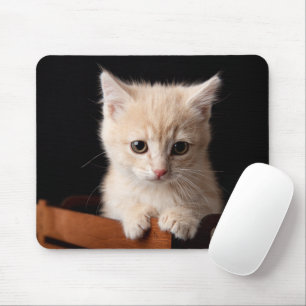 最も可愛い赤ん坊の動物 Ginger Kitten マウスパッド