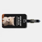 最も可愛い赤ん坊の動物 | Ginger Kitten ラゲッジタグ (裏面横)