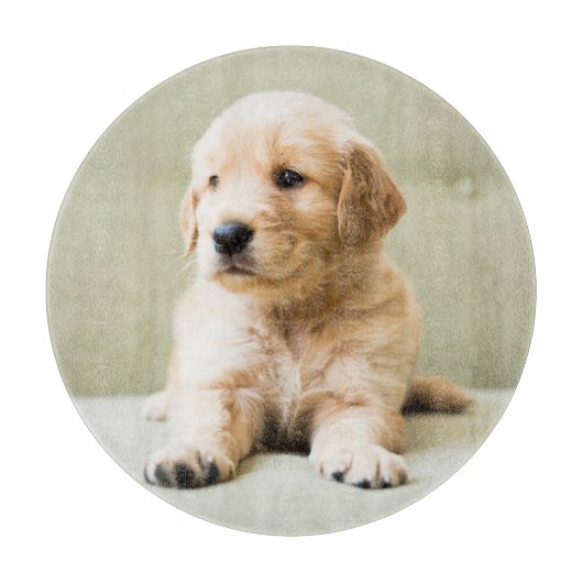 最も可愛い赤ん坊の動物 | Golden Retriever Puppy カッティングボード (正面)