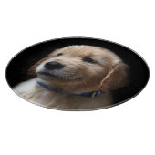 最も可愛い赤ん坊の動物 | Golden Retriever Puppy カッティングボード (角)