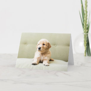 最も可愛い赤ん坊の動物 Golden Retriever Puppy カード