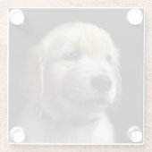最も可愛い赤ん坊の動物 | Golden Retriever Puppy ガラスコースター (裏面)