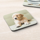 最も可愛い赤ん坊の動物 | Golden Retriever Puppy コースター (左側)