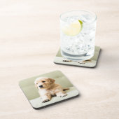 最も可愛い赤ん坊の動物 | Golden Retriever Puppy コースター (右側)