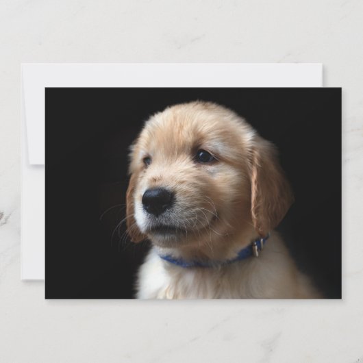 最も可愛い赤ん坊の動物 | Golden Retriever Puppy サンキューカード (正面)