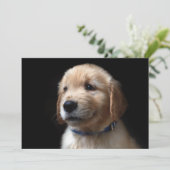 最も可愛い赤ん坊の動物 | Golden Retriever Puppy サンキューカード (スタンド正面)