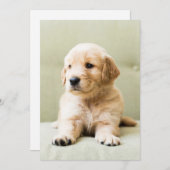 最も可愛い赤ん坊の動物 | Golden Retriever Puppy サンキューカード (正面/裏面)