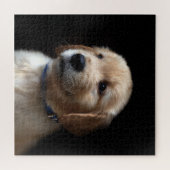 最も可愛い赤ん坊の動物 | Golden Retriever Puppy ジグソーパズル (横)