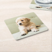 最も可愛い赤ん坊の動物 | Golden Retriever Puppy スクエアペーパーコースター (アングル)
