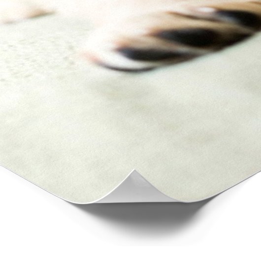 最も可愛い赤ん坊の動物 | Golden Retriever Puppy ポスター (角)