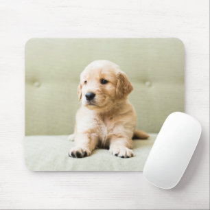 最も可愛い赤ん坊の動物 Golden Retriever Puppy マウスパッド