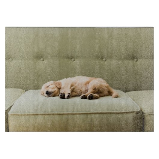 最も可愛い赤ん坊の動物 | Golden Retriever Puppy 2 カッティングボード (正面)