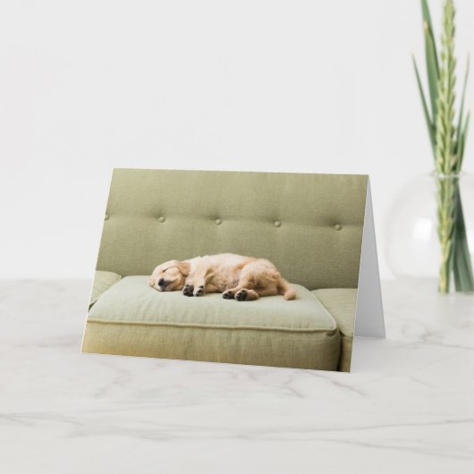 最も可愛い赤ん坊の動物 | Golden Retriever Puppy 2 カード (正面)