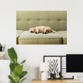 最も可愛い赤ん坊の動物 | Golden Retriever Puppy 2 ポスター (ホームオフィス)