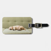 最も可愛い赤ん坊の動物 | Golden Retriever Puppy 2 ラゲッジタグ (正面横)
