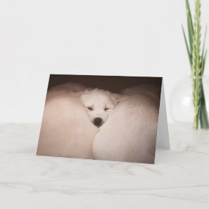 最も可愛い赤ん坊の動物 Golden Retriever Snuggle カード