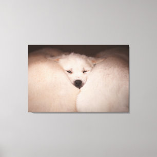 最も可愛い赤ん坊の動物 Golden Retriever Snuggle キャンバスプリント