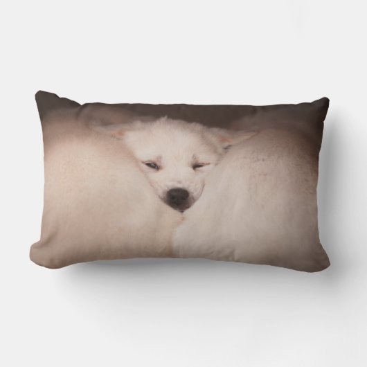 最も可愛い赤ん坊の動物 | Golden Retriever Snuggle ランバークッション (正面)