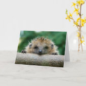 最も可愛い赤ん坊の動物 | Hedgehogスマイル カード (黄色い花)