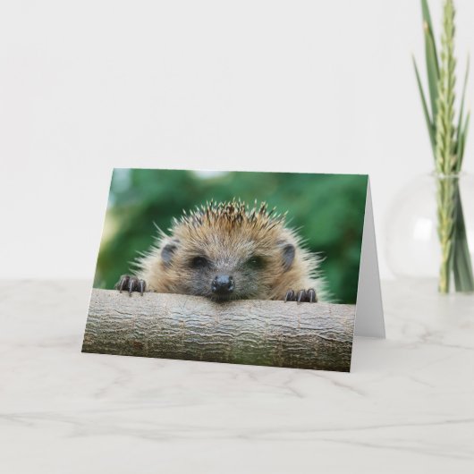最も可愛い赤ん坊の動物 | Hedgehogスマイル カード (正面)