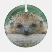 最も可愛い赤ん坊の動物 | Hedgehogスマイル ガラスオーナメント (正面)