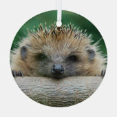最も可愛い赤ん坊の動物 | Hedgehogスマイル ガラスオーナメント (裏面)