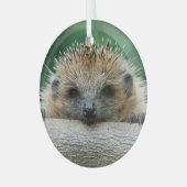 最も可愛い赤ん坊の動物 | Hedgehogスマイル ガラスオーナメント (正面左)