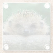 最も可愛い赤ん坊の動物 | Hedgehogスマイル ガラスコースター (裏面)