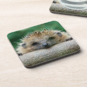 最も可愛い赤ん坊の動物 | Hedgehogスマイル コースター (左側)