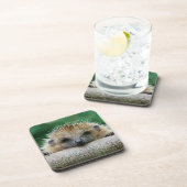 最も可愛い赤ん坊の動物 | Hedgehogスマイル コースター (右側)