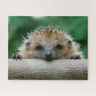 最も可愛い赤ん坊の動物   Hedgehogスマイル ジグソーパズル