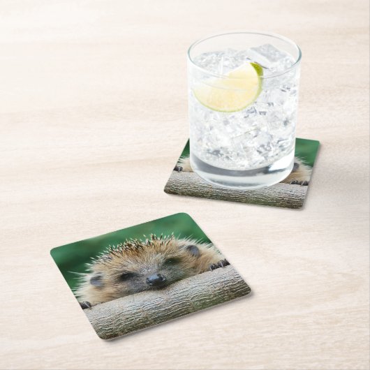 最も可愛い赤ん坊の動物 | Hedgehogスマイル スクエアペーパーコースター (インサイチュ)